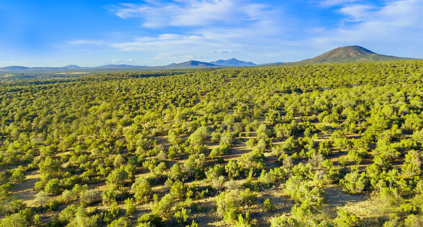 Coconino 1 Acres, 50008058 E Jackpine - 558 E JACKPINE LN WILLIAMS, AZ 86046