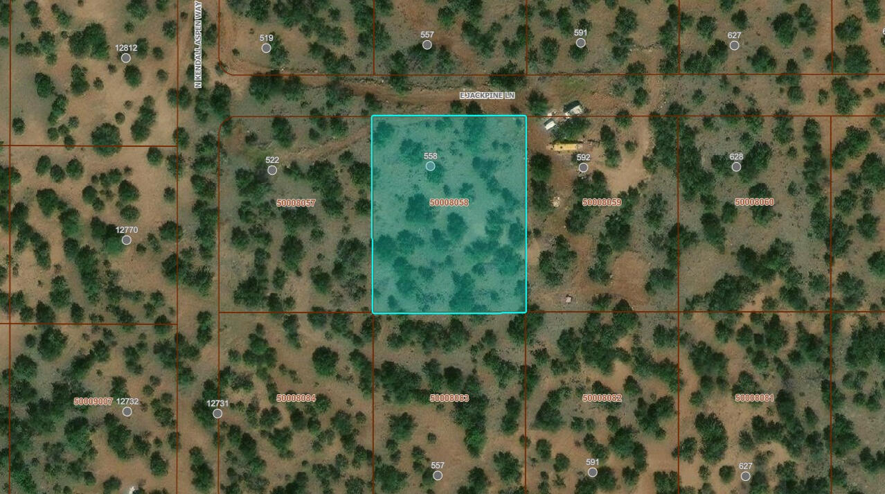 Coconino 1 Acres, 50008058 E Jackpine - 558 E JACKPINE LN WILLIAMS, AZ 86046