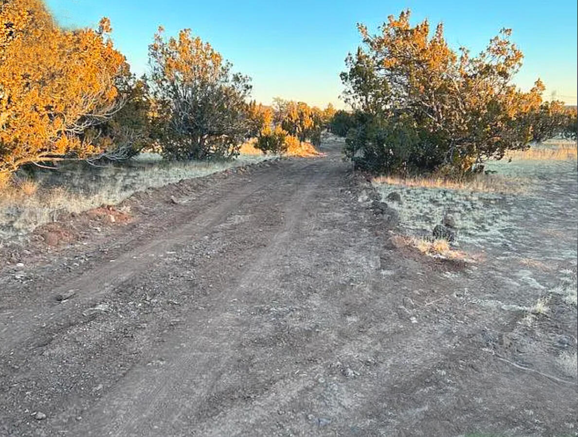 Coconino 1 Acres, 50008058 E Jackpine - 558 E JACKPINE LN WILLIAMS, AZ 86046