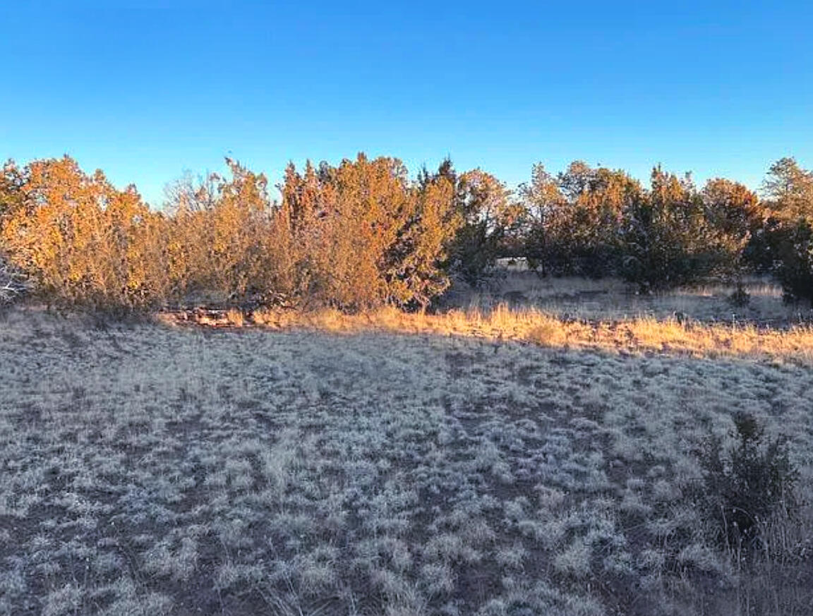 Coconino 1 Acres, 50008058 E Jackpine - 558 E JACKPINE LN WILLIAMS, AZ 86046