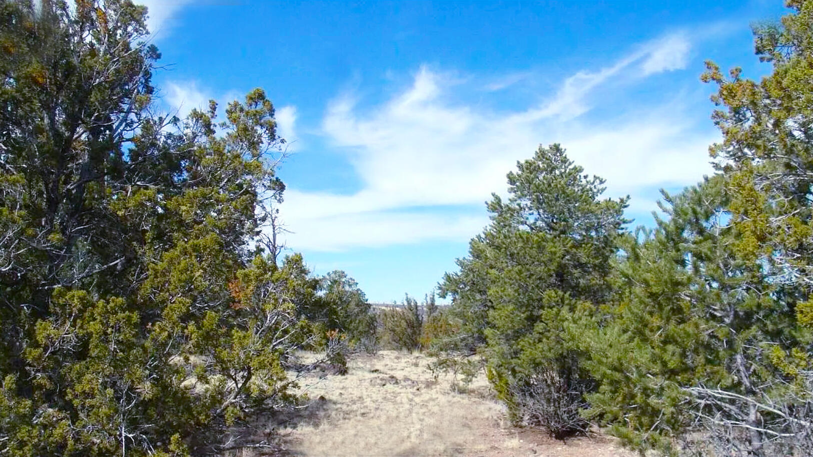Coconino 1 Acres, 50008058 E Jackpine - 558 E JACKPINE LN WILLIAMS, AZ 86046