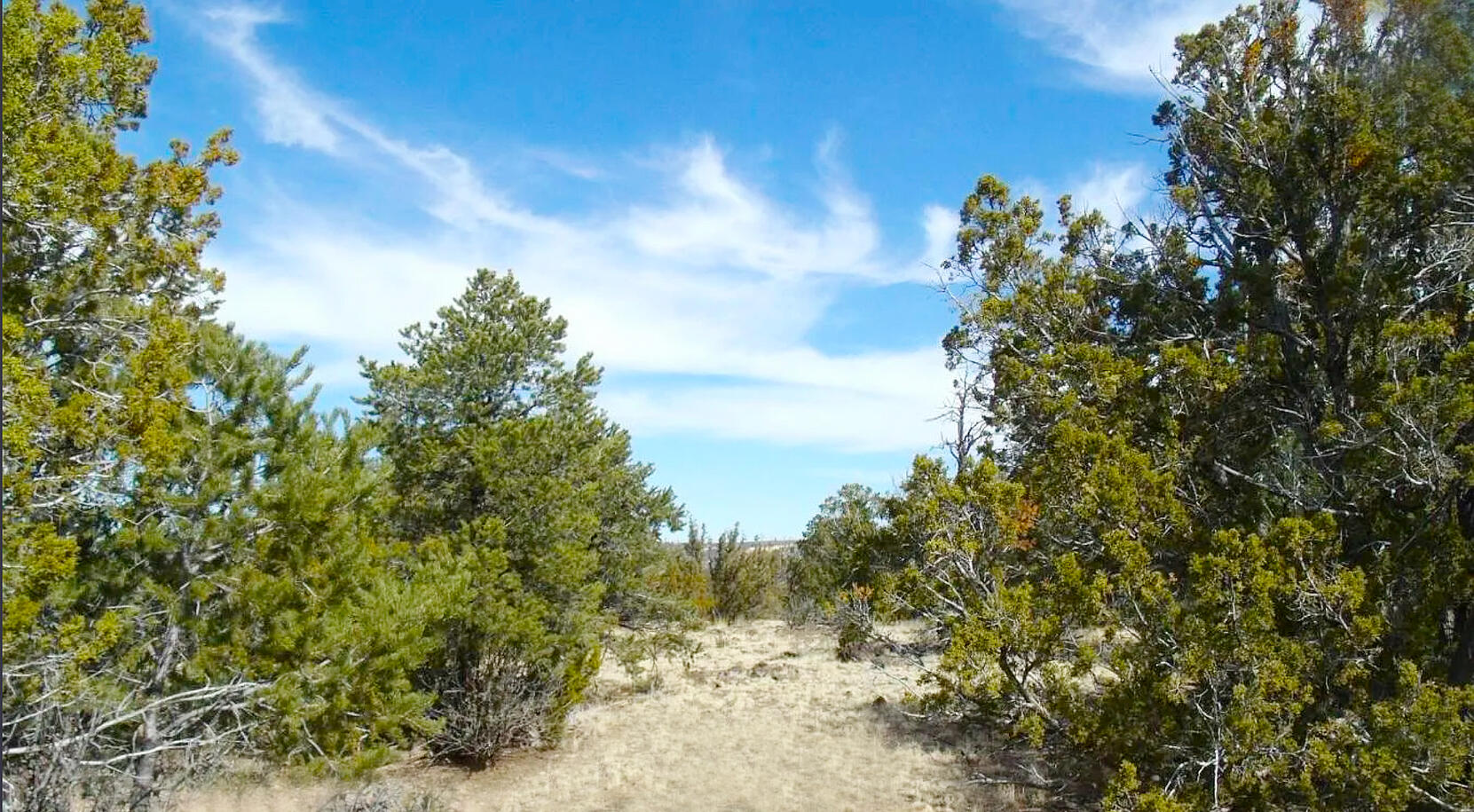 Coconino 1 Acres, 50008058 E Jackpine - 558 E JACKPINE LN WILLIAMS, AZ 86046